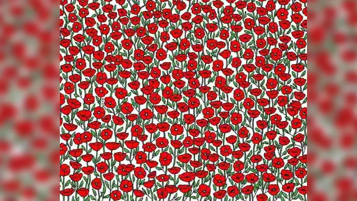 Krabbe Suchbild Blumen