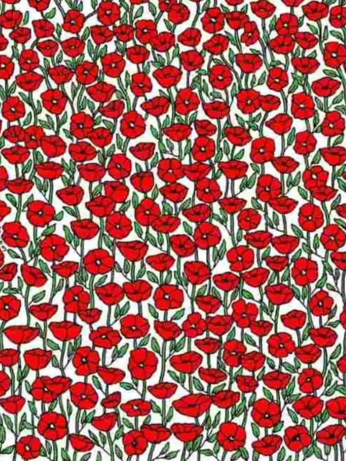 Krabbe Suchbild Blumen