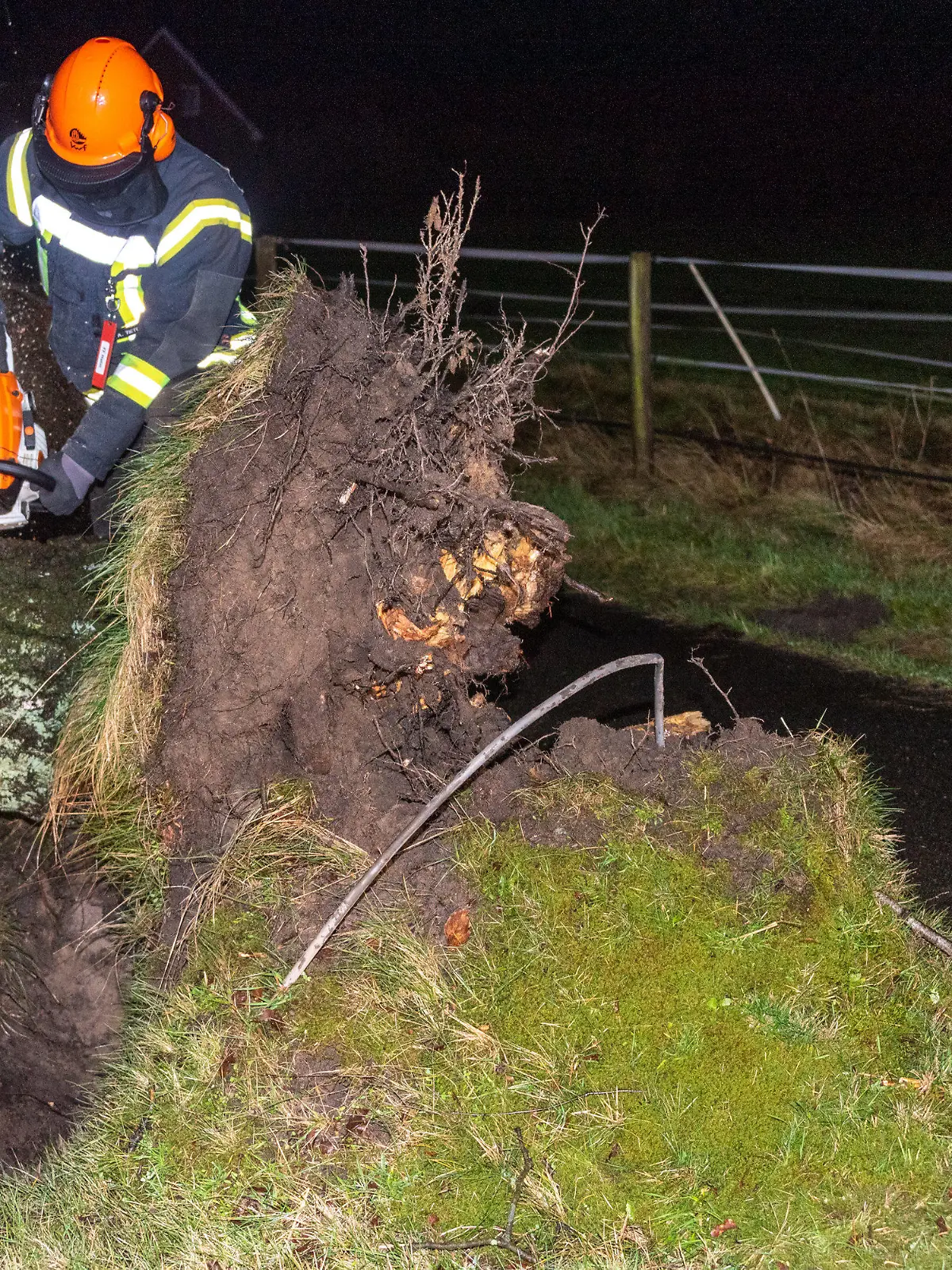 17.02.2022, Niedersachsen, Buchholz (Nordheide): Ein Mann zersägt eine Birke, die während des Sturmtiefs «Ylenia» auf die Straße kippte ein Stromkabel aus der Erde riss. Foto: Tobias Johanning/JOTO/dpa +++ dpa-Bildfunk +++