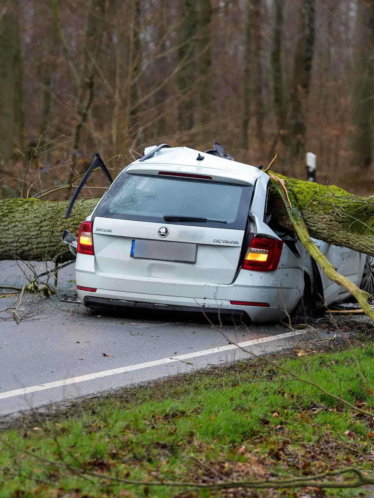 17.02.2022, Niedersachsen, Bad Bevensen: Ein durch den Sturm umgestürzter Baum liegt auf einem Pkw. Der 37-jährige Fahrer wurde dabei tödlich verletzt. Foto: Philipp Schulze/dpa +++ dpa-Bildfunk +++