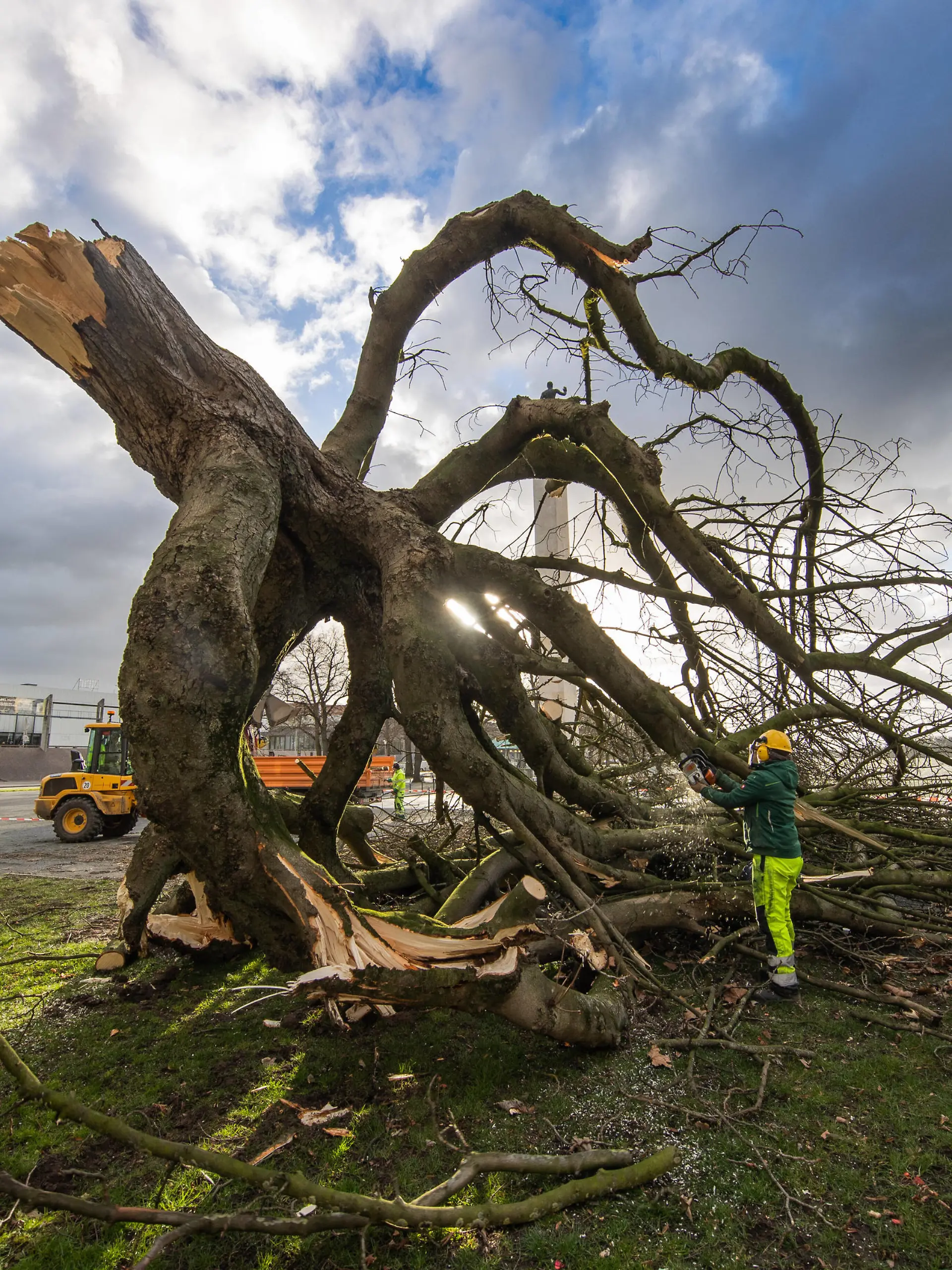  Niedersachsen, Hannover, Sturmtief Ylenia über Hannover, umgestürzter Baum am Maschsee, Sturm, Orkan,
