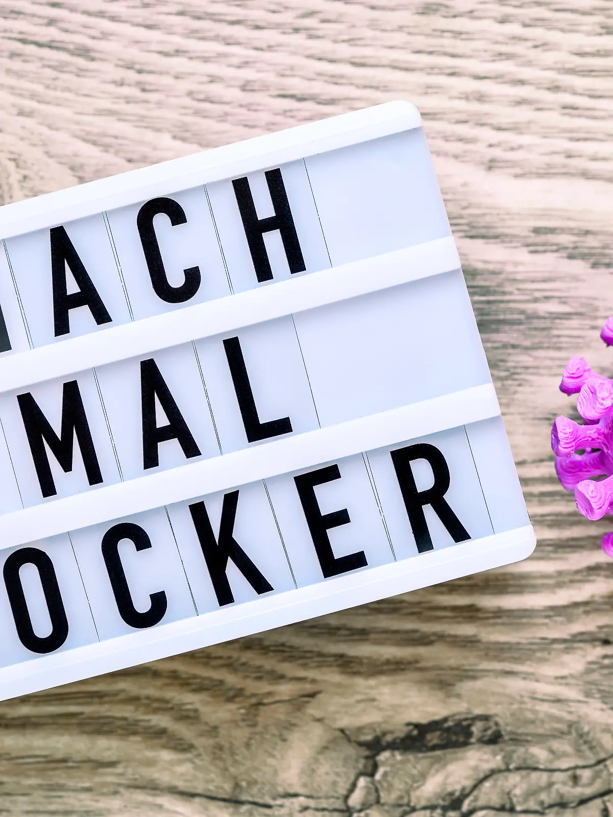  Schriftzug Mach mal locker auf einem Leuchtkasten, Symbolfoto Corona-Lockerungen *** lettering Mach mal loosely on a light box, symbol photo Corona loosening