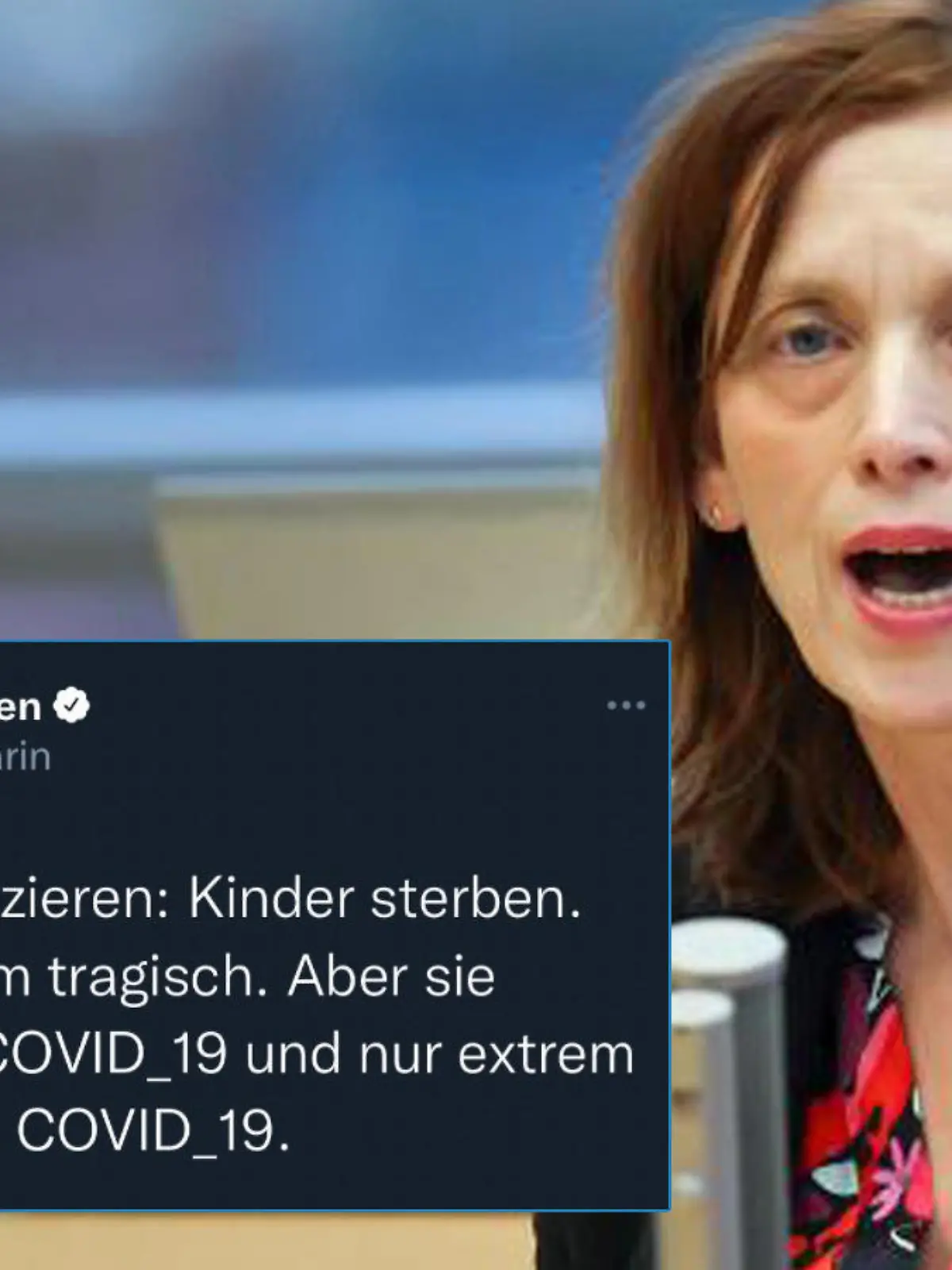 Karin Prien, umstrittener Twitter-Beitrag