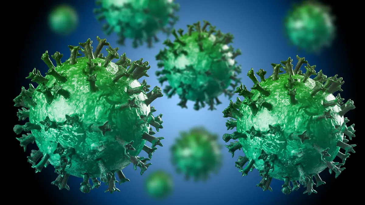  Illustration des Coronavirus in Grüntönen *** Illustration of the coronavirus in shades of green 1028901454