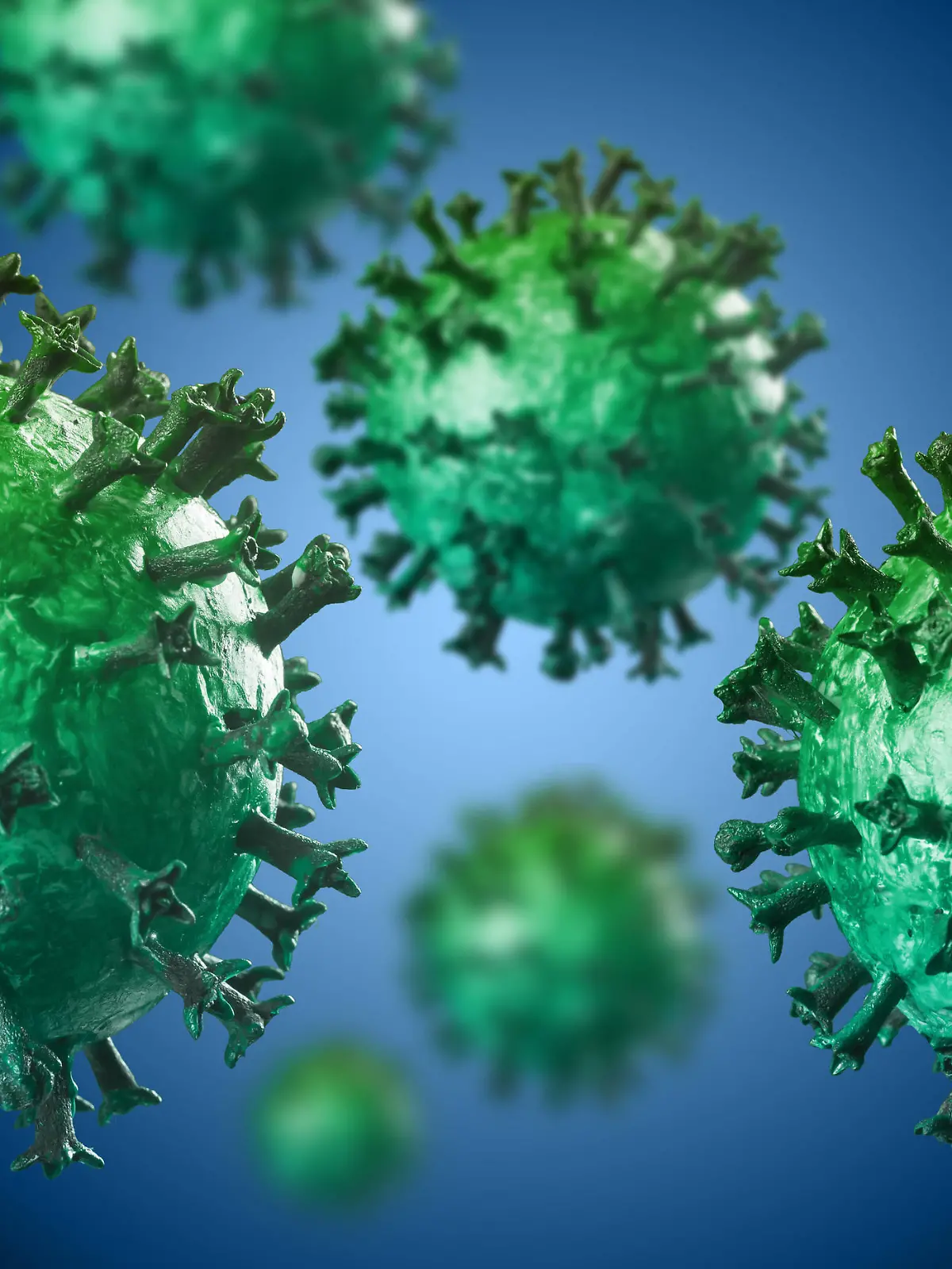  Illustration des Coronavirus in Grüntönen *** Illustration of the coronavirus in shades of green 1028901454