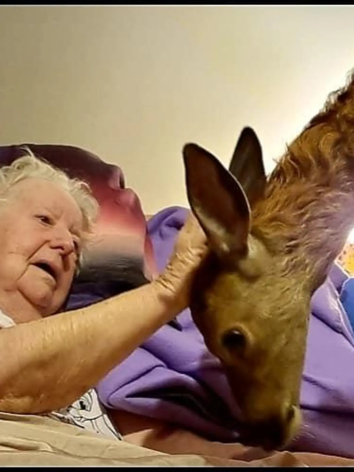 Bilder einer älteren Frau in Australien mit einem Reh