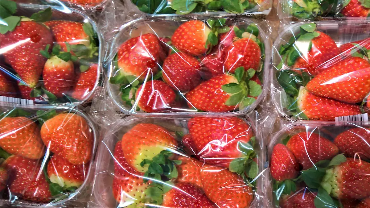  Obst: Erdbeeren Einzahl Erdbeere in einer Obstabteilung im Supermarkt *** Fruit strawberries singular strawberry in a supermarket fruit section 