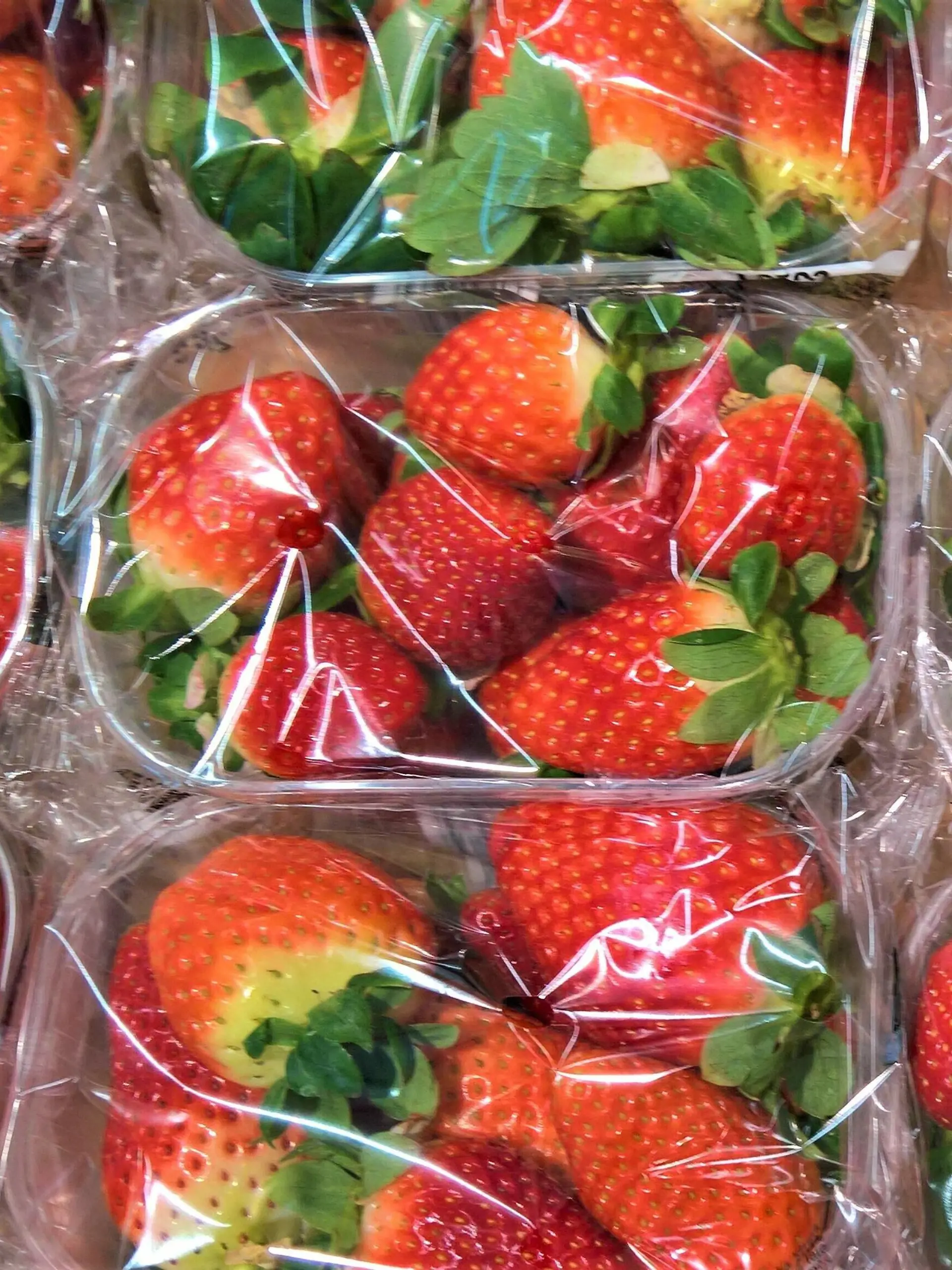  Obst: Erdbeeren Einzahl Erdbeere in einer Obstabteilung im Supermarkt *** Fruit strawberries singular strawberry in a supermarket fruit section 