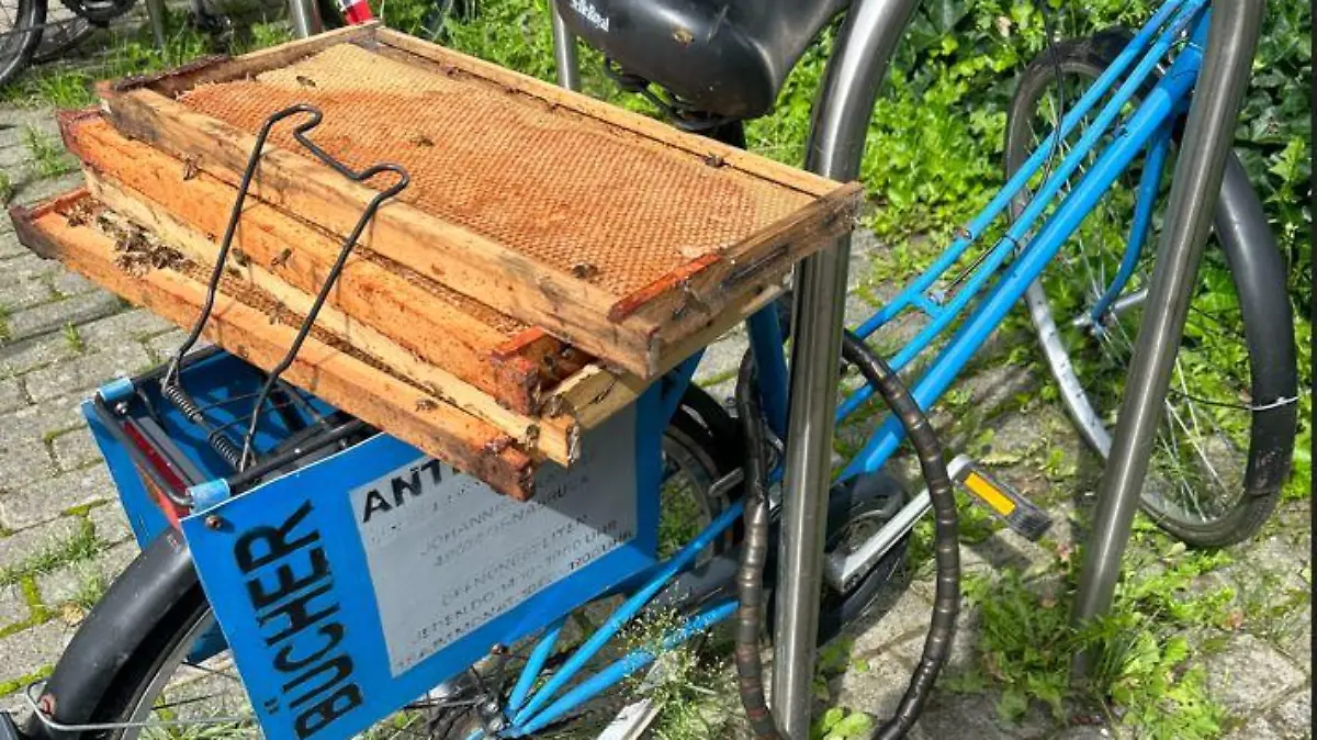 Gefunden wurden die Tiere auf einem Fahrradgepäckträger.