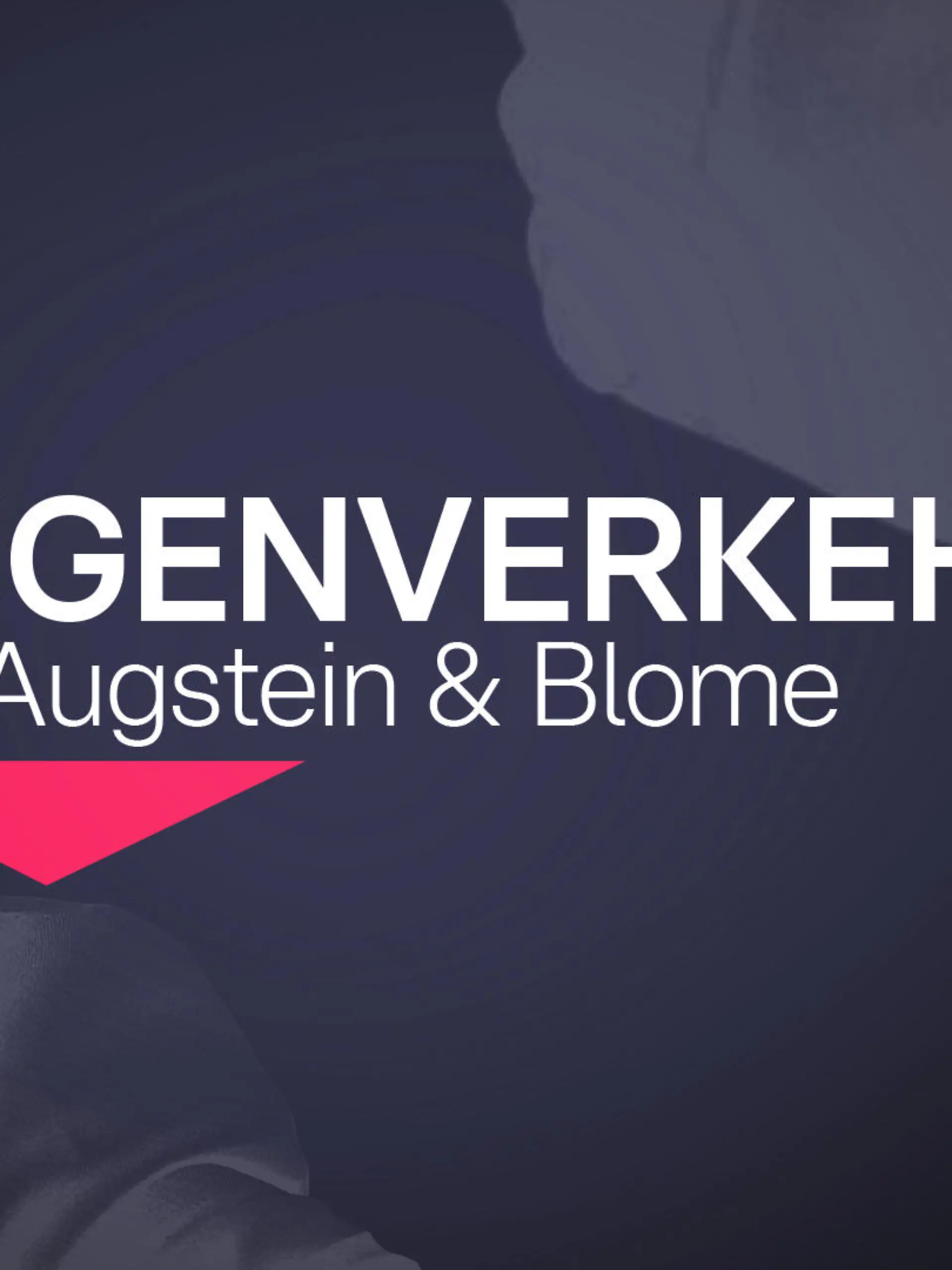 Gegenverkehr mit RTL-Politik-Chef Nikolaus Blome und Publizist Jakob Augstein.