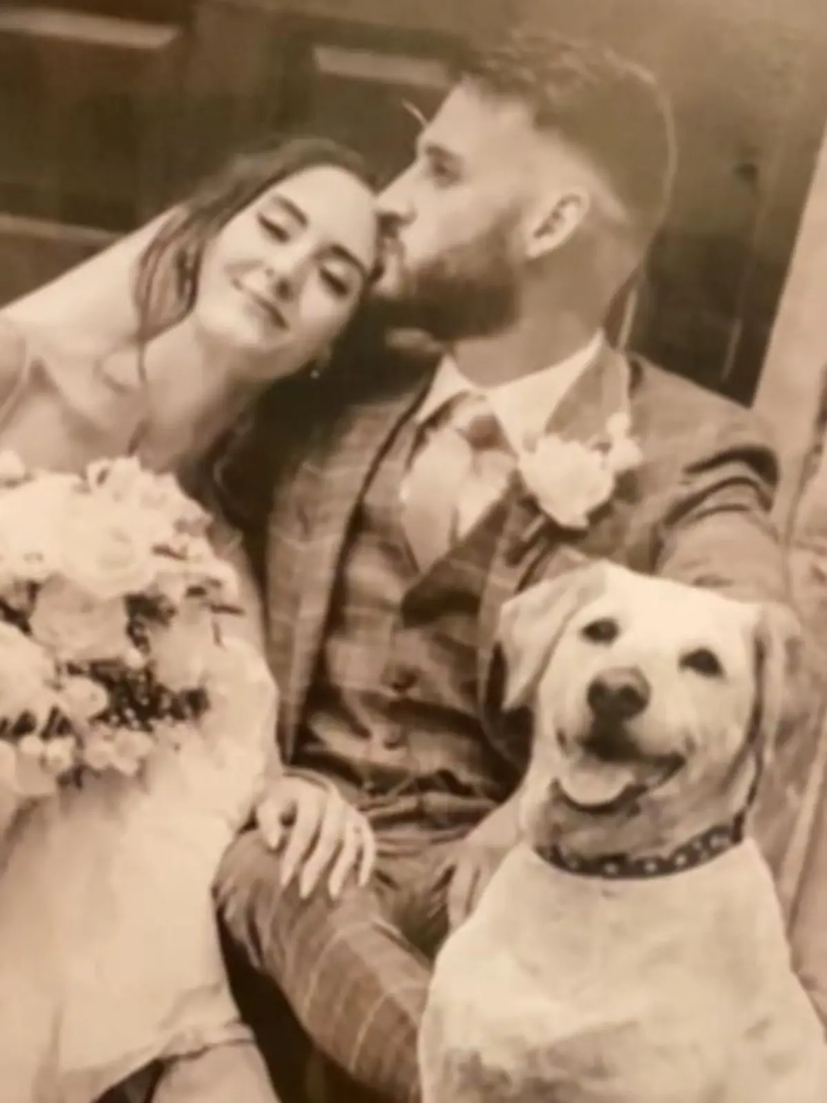 Bild zu: "Toter Hund auf Hochzeitsfoto montiert"