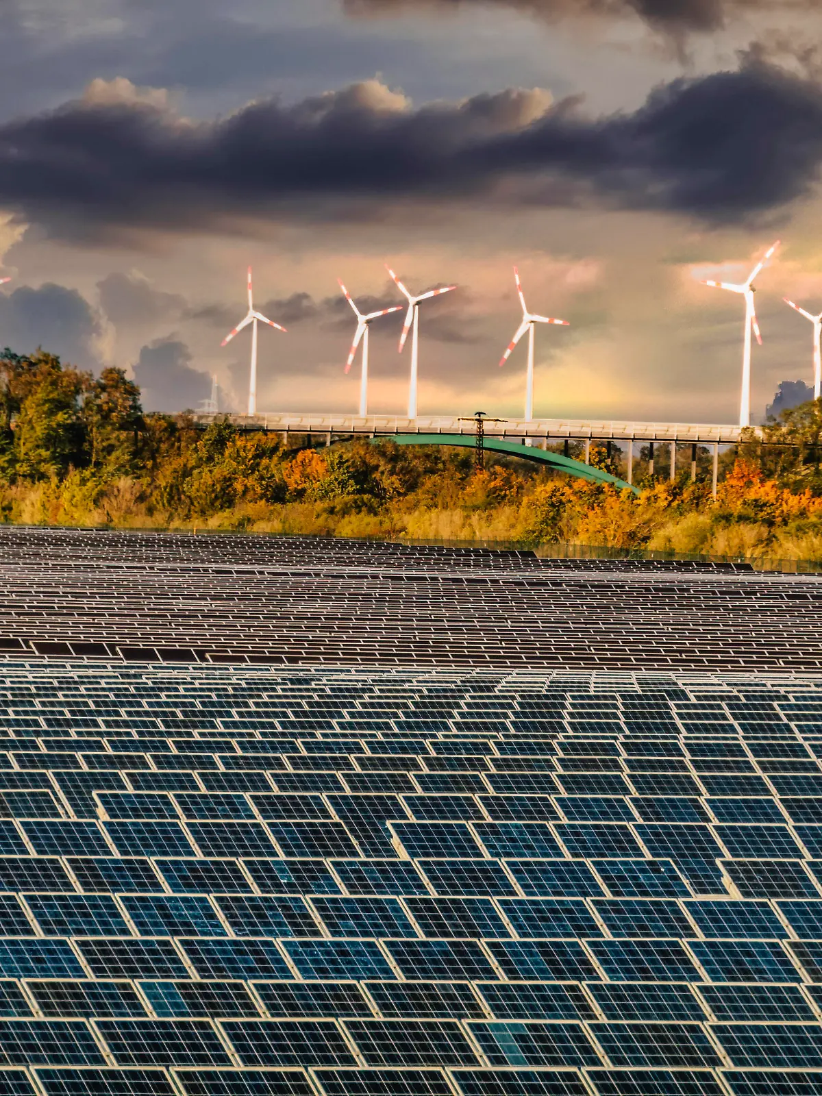  Fotovoltaik / Solaranlage auf Feldern und Wiesen - Symbolbilder Solar Feld und Windkraftanlagen im Solar Valley .Standort vieler Solarfirmen wie Q-cells Sovello bei Bitterfeld-Wolfen in Sachsen-Anhalt Solar valley , solar fields and windfarm at Bitterfeld Wolfen , germany Solar Feld und Windkraftanlagen im Solar Valley .Standort vieler Solarfirmen wie Q-cells Sovello bei Bitterfeld-Wolfen in Sachsen-Anhalt, Deutschland GERMANY Solar valley , solar fields and windfarm at Bitterfeld Wolfen *** Solar valley , solar fields and windfarm at Bitterfeld Wolfen , germany Solar valley , solar fields and windfarm at Bitterfeld Wolfen , germany Solar valley , solar fields and windfarm at Bitterfeld Wolfen , germany Solar valley , solar fields and windfarm at Bitterfeld Wolfen , germany Solar valley , solar fiel