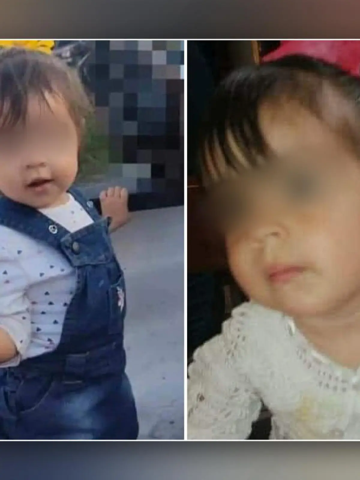 Mexico: Mädchen isst vergifteten Hundekeks und stirbt