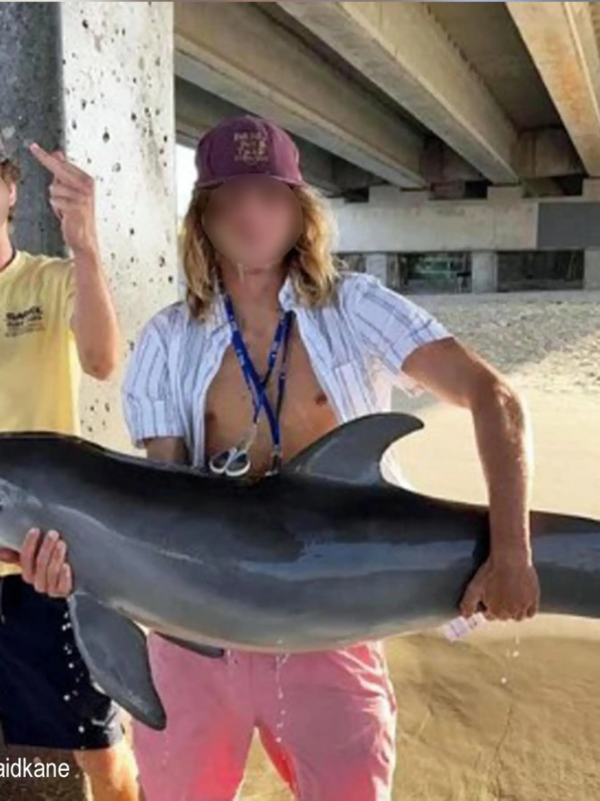 Delfin
