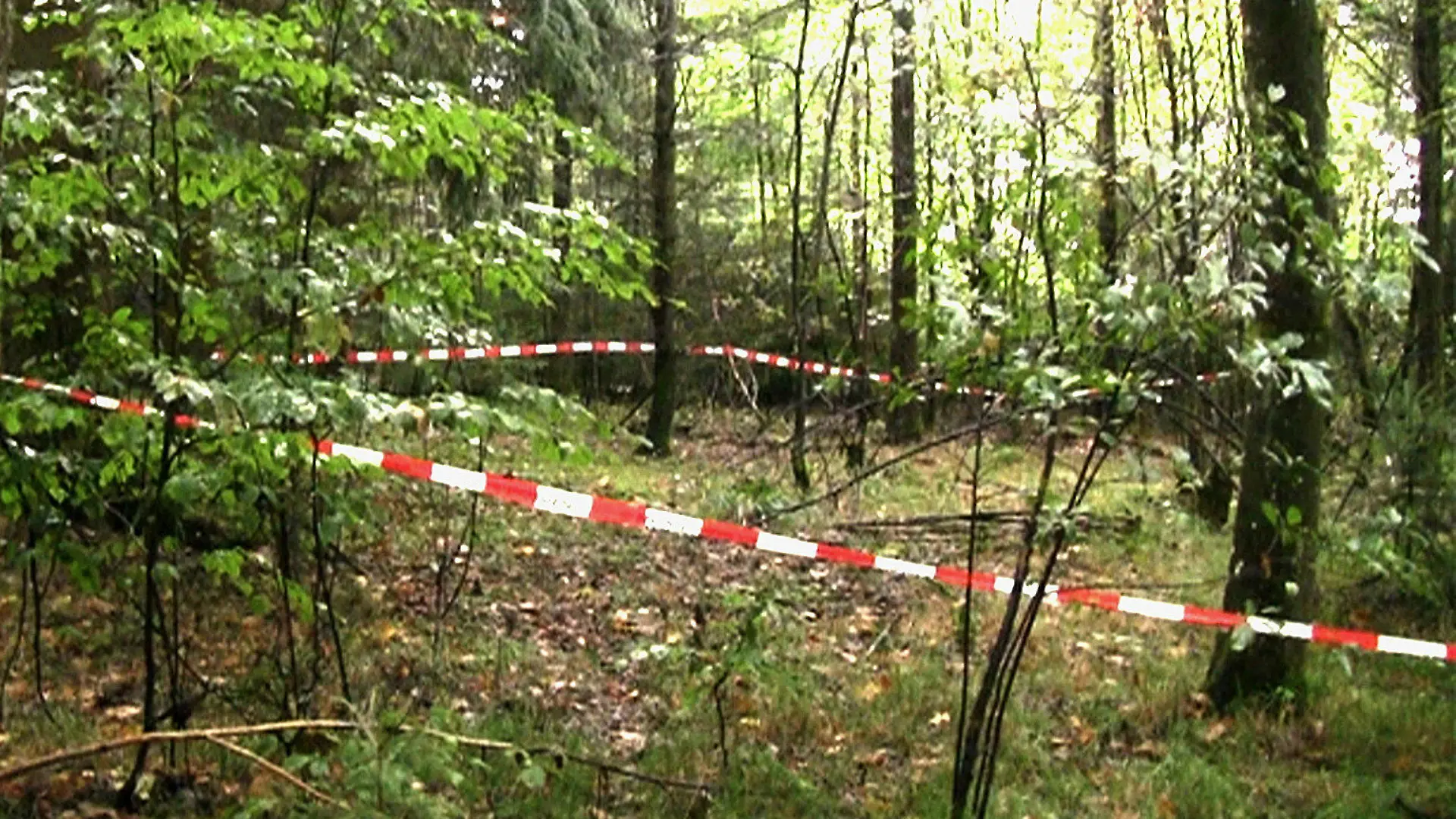 ARCHIV - 08.09.2013, Bayern, Regensburg: Mit Flatterband hat die Polizei den Fundort einer Frauenleiche absgesperrt. Ein Pilzsucher hatte dort die sterblichen Überreste der vermissten Maria Bauer gefunden. Die Staatsanwaltschaft hat am 03.03.2020 Anklage wegen Mordes gegen den ehemaligen Verlobten der Frau erhoben. Foto: Alexander Auer/dpa +++ dpa-Bildfunk +++