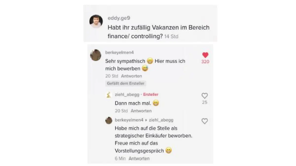 Auch Fachkräfte kommentieren unter den Video-Posts von Ziehl-Abegg bei TikTok.