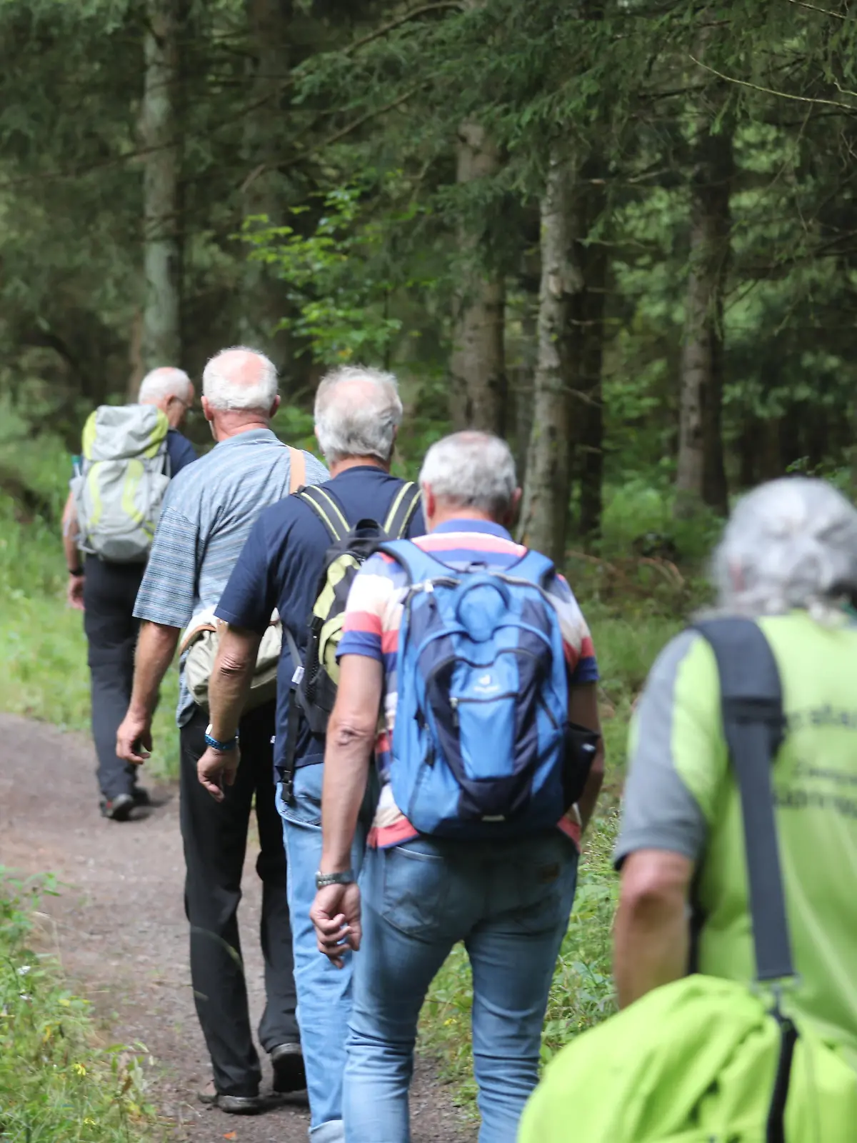 Wanderer gehen über den Rennsteig bei der Eröffnung des 29. Thüringer Wandertages. Mehrere hundert Wanderfreunde gingen auf zehn verschiedenen Wanderrouten durch den Thüringer Wald.