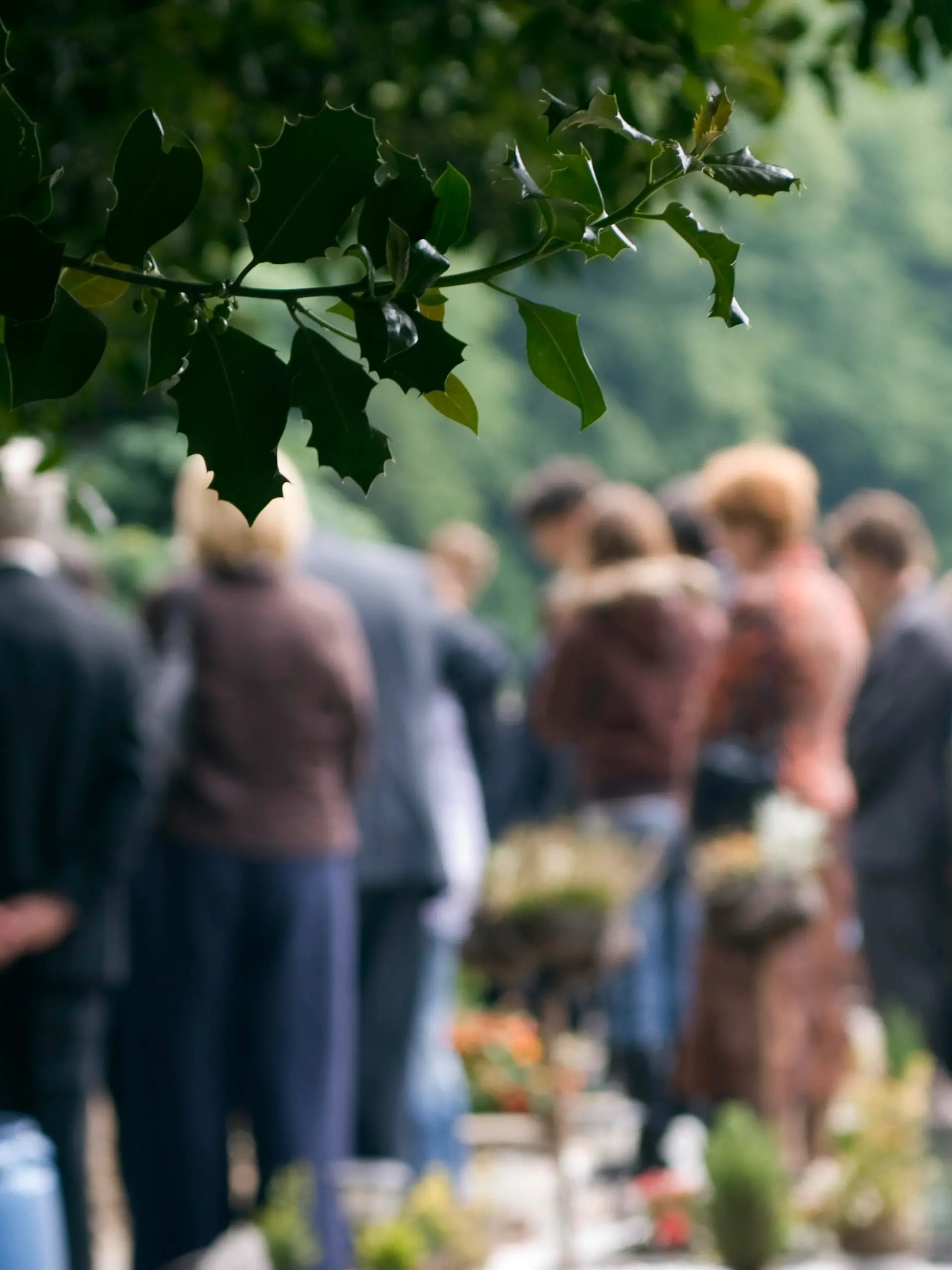 The last farewel