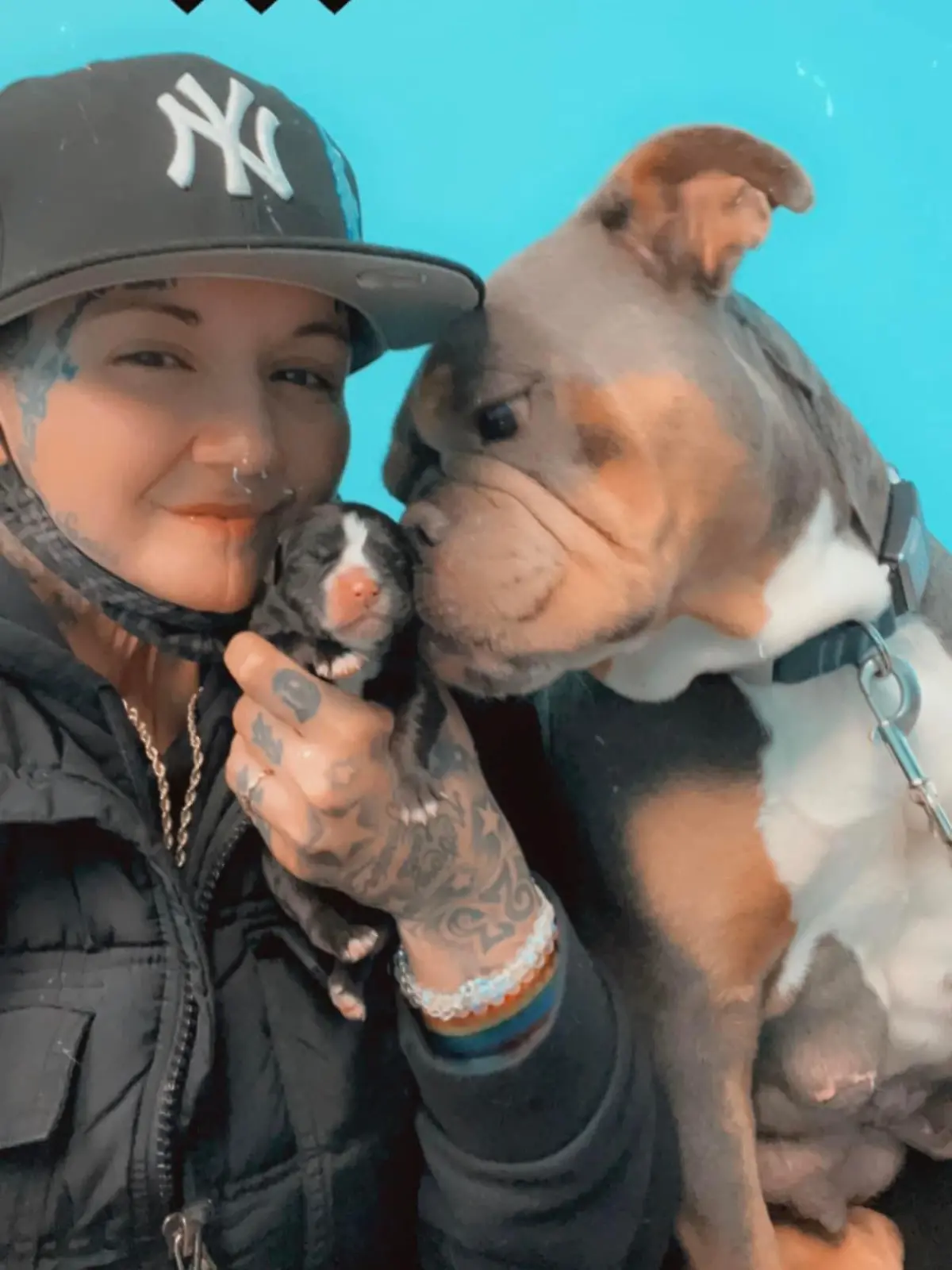 Jen Costa, 37, aus New York mit ihrer englischen Bulldogge "Azzurra Diamante" und Welpe "miracle"