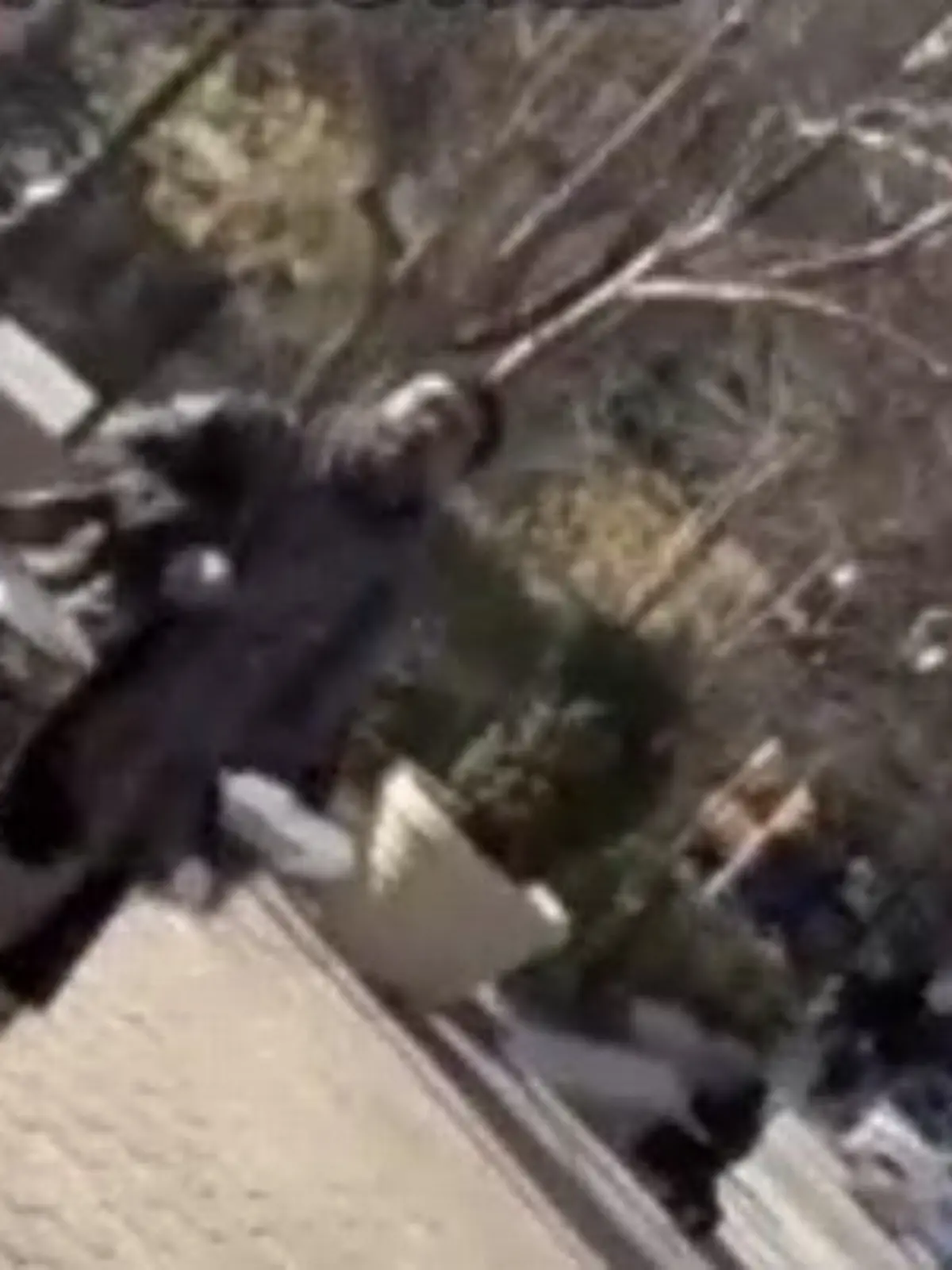 Mann verfolgt Frau in Park New York Tiktok