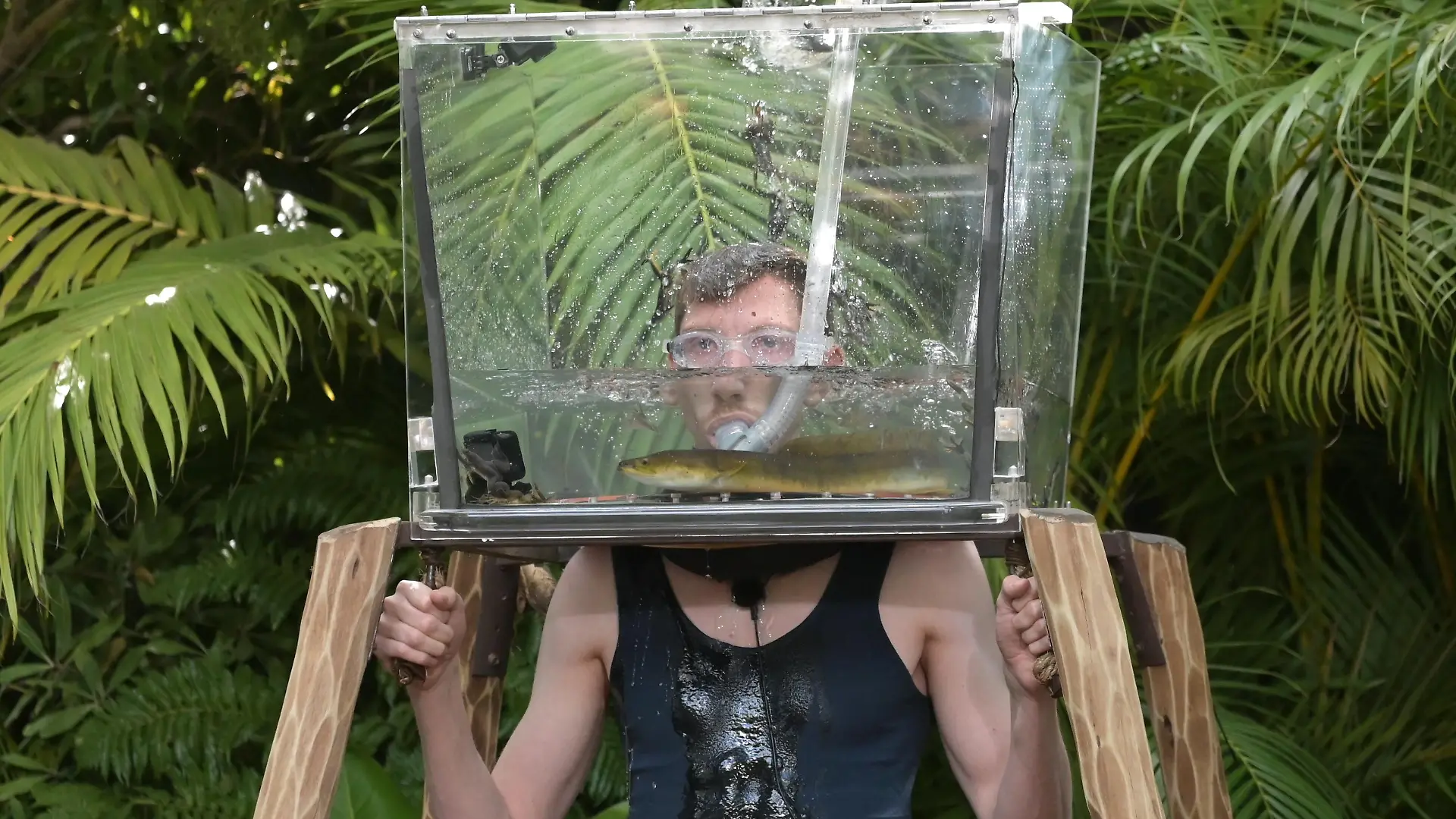 ACHTUNG: SPERRFRIST FÜR ALLE MEDIEN BIS SAMSTAG, 05.02.2022, 00.00 UHR !!! Tag 16. Dschungelprüfung _Aramis_. Finalist Manuel Flickinger steckt mit seinem Kopf in einem Aquarium und muss darin dann fünf Minuten Auge in Auge mit Aalen und vielen, vielen, vielen Fröschen aushalten. Auch er kann so fünf Sterne erspielen.
Die Verwendung des sendungsbezogenen Materials ist nur mit dem Hinweis und Verlinkung auf RTL+ gestattet.