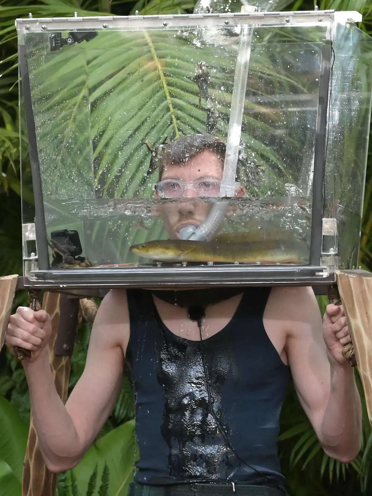ACHTUNG: SPERRFRIST FÜR ALLE MEDIEN BIS SAMSTAG, 05.02.2022, 00.00 UHR !!!  Tag 16. Dschungelprüfung _Aramis_. Finalist Manuel Flickinger steckt mit seinem Kopf in einem Aquarium und muss darin dann fünf Minuten Auge in Auge mit Aalen und vielen, vielen, vielen Fröschen aushalten. Auch er kann so fünf Sterne erspielen.

Die Verwendung des sendungsbezogenen Materials ist nur mit dem Hinweis und Verlinkung auf RTL+ gestattet.