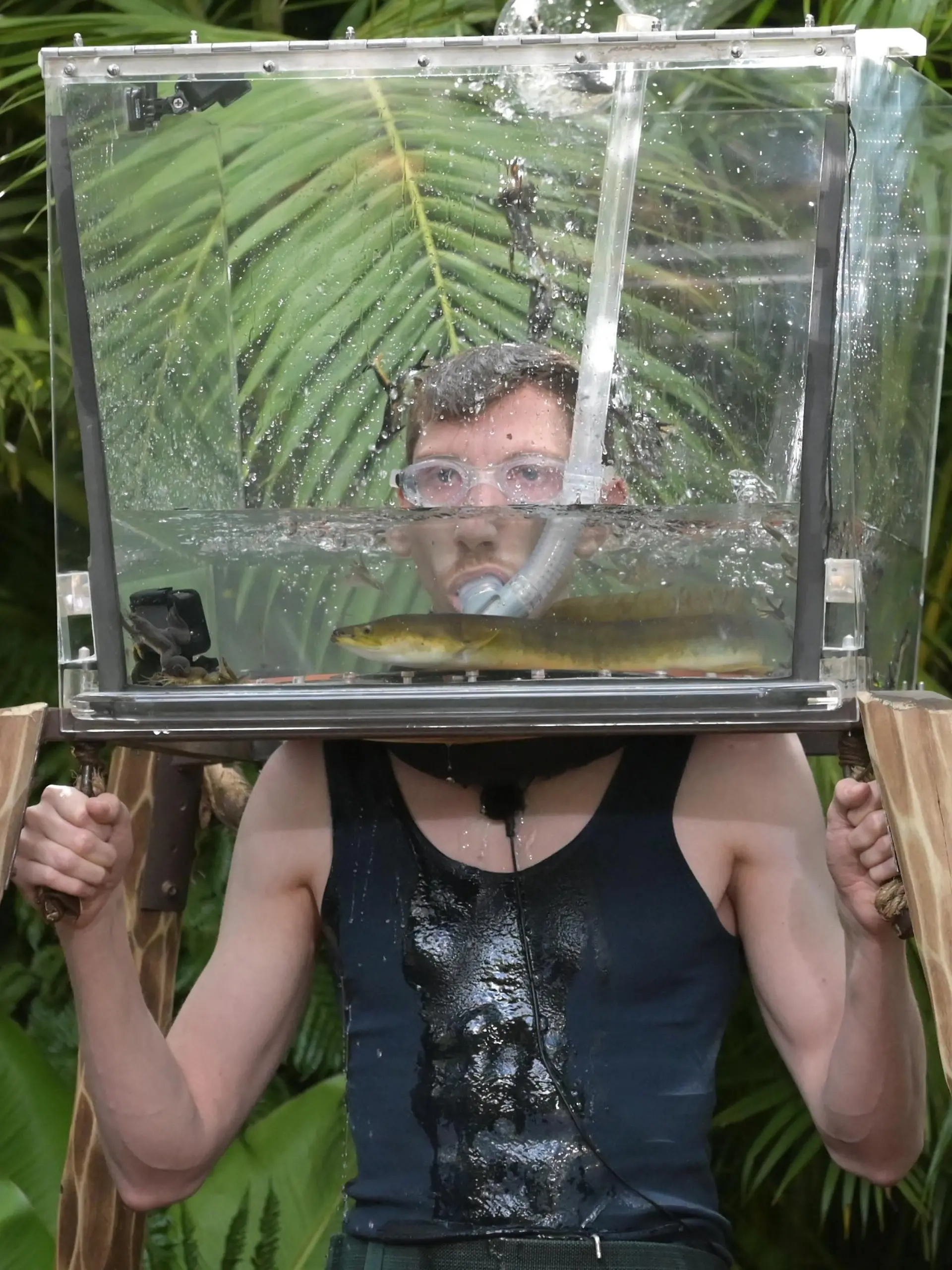 ACHTUNG: SPERRFRIST FÜR ALLE MEDIEN BIS SAMSTAG, 05.02.2022, 00.00 UHR !!!  Tag 16. Dschungelprüfung _Aramis_. Finalist Manuel Flickinger steckt mit seinem Kopf in einem Aquarium und muss darin dann fünf Minuten Auge in Auge mit Aalen und vielen, vielen, vielen Fröschen aushalten. Auch er kann so fünf Sterne erspielen.

Die Verwendung des sendungsbezogenen Materials ist nur mit dem Hinweis und Verlinkung auf RTL+ gestattet.