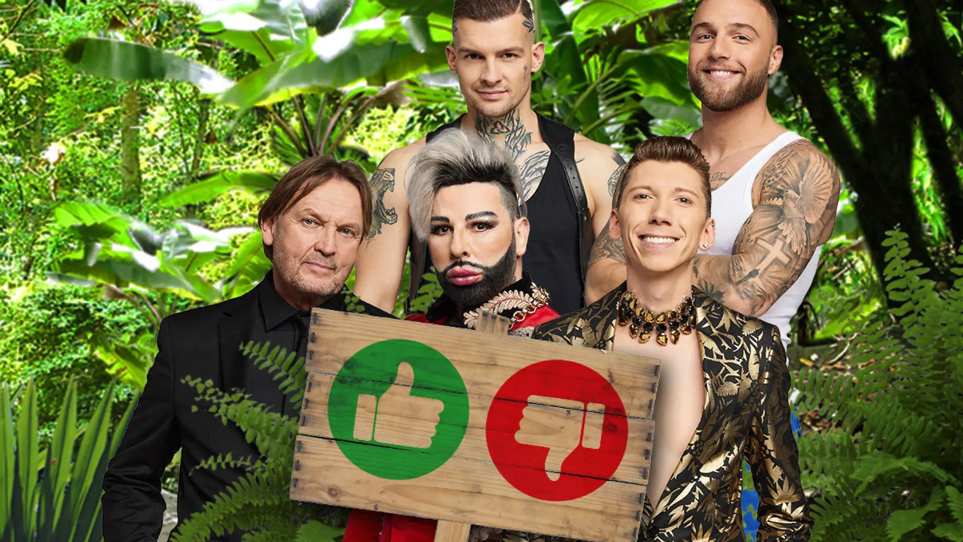 Angetreten sind im Januar elf Promis. Doch welche drei bekommen die Chance, im großen Finale von „Ich bin ein Star - Holt mich hier raus!“ um die Krone zu kämpfen?