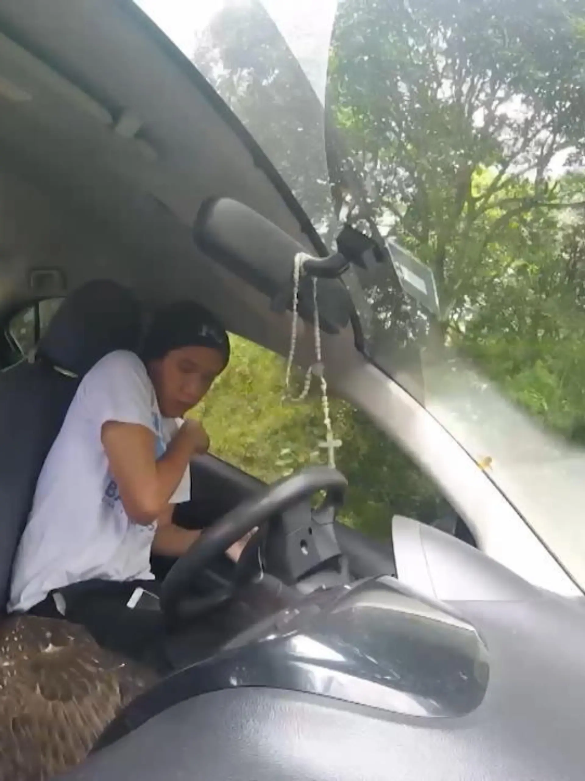 Ein Adler crasht in ein fahrendes Auto und scheint Hilfe zu suchen. Erfolgreich – auch wenn der Mann im Auto erstmal ein bisschen überfordert ist, wie Sie im Video sehen können.