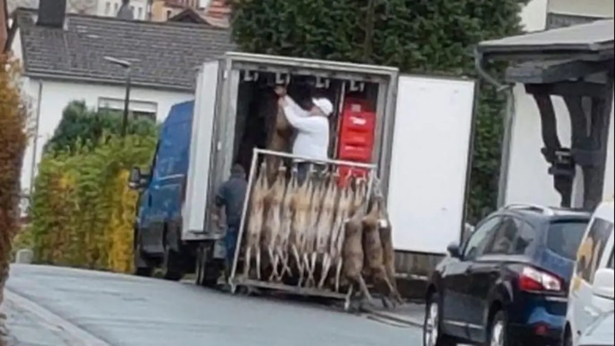 Wildfleisch Sulzbach