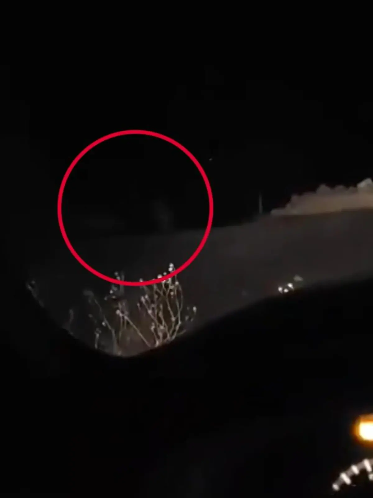 Eigentlich wollte ein Vater mit seinen Töchter Sternschnuppen anschauen. Aber stattdessen entdecken sie eine merkwürdige, große und dunkle Gestalt. Könnte das etwa Bigfoot sein?