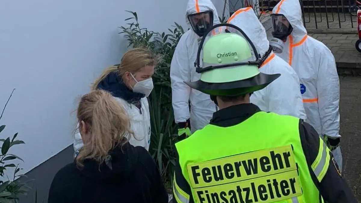 Dramatischer Fall von Animal Hoarding im Nürnberger Land: 116 Katzen in kleiner Wohnung gehalten