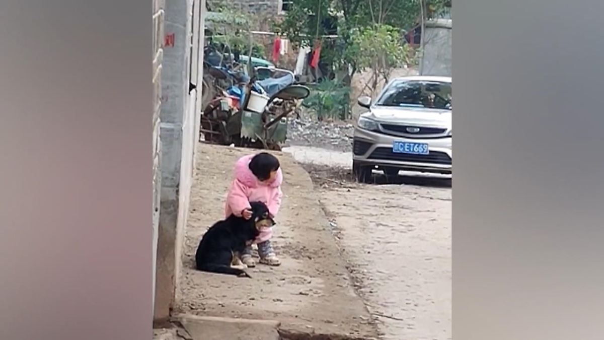 Wie süß! Kleines Mädchen schützt Hund vor lautem Knall