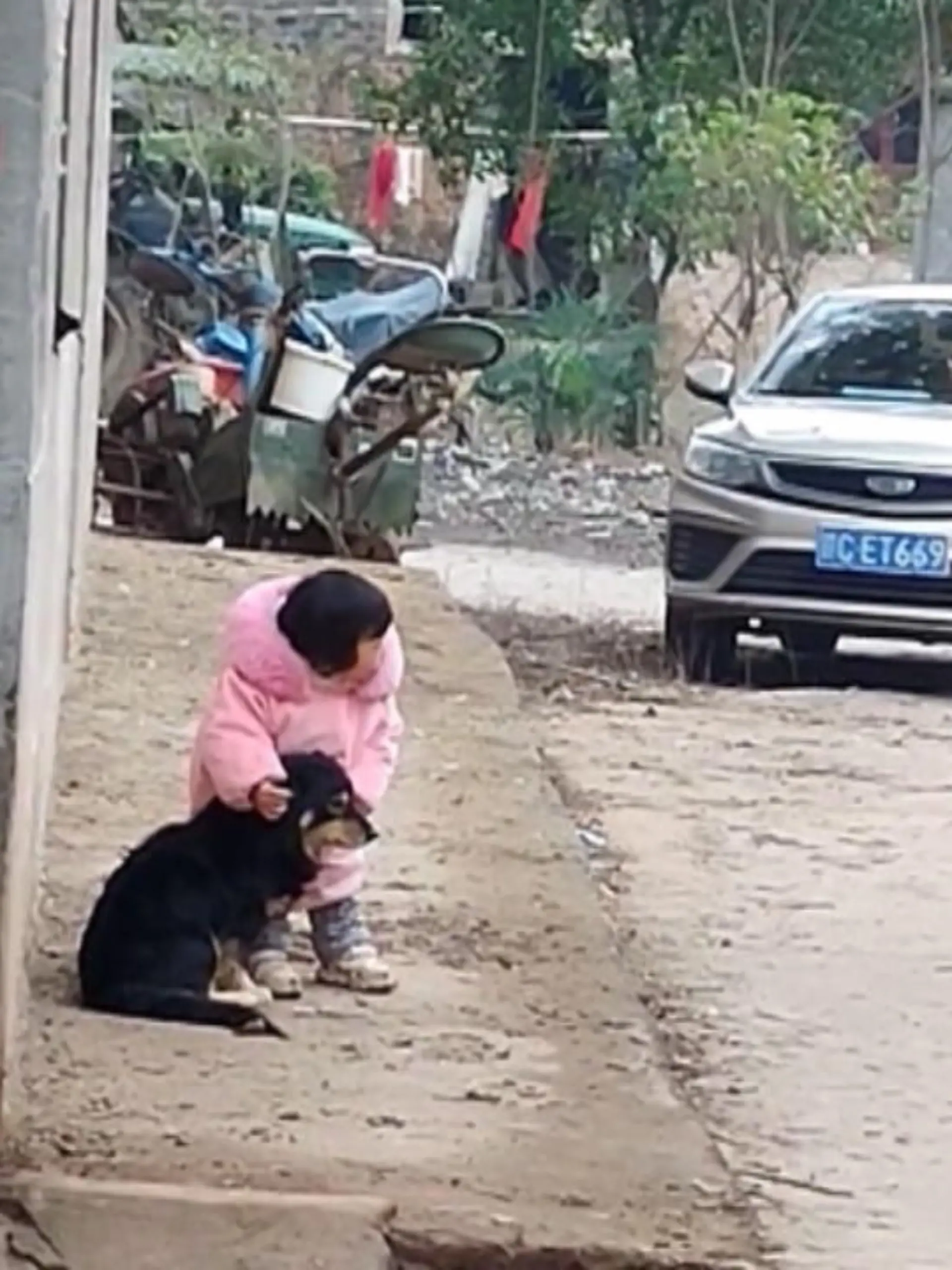 Mädchen beschützt Hund vor Feuerwerk. 
Erst streichelt die Kleine den Hund und als dann einige Feuerwerkskörper explodieren, hält sie ihm schnell die Ohren zu. Diese süße Szene, sehen Sie im Video.