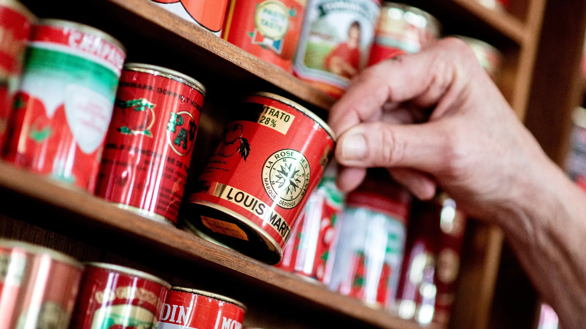 01.02.2022, Niedersachsen, Oldenburg: Gunda Tuchenhagen nimmt in ihrem Esszimmer eine von zahlreichen Tomatenmarkdosen aus verschiedenen Ländern aus einem Regal. Die Oldenburgerin hat seit 1983 rund 490 verschiedene Tomatenmarkdosen aus aller Welt gesammelt. (zu dpa "Aus aller Welt: Oldenburgerin sammelt 490 Tomatenmarkdosen") Foto: Hauke-Christian Dittrich/dpa +++ dpa-Bildfunk +++