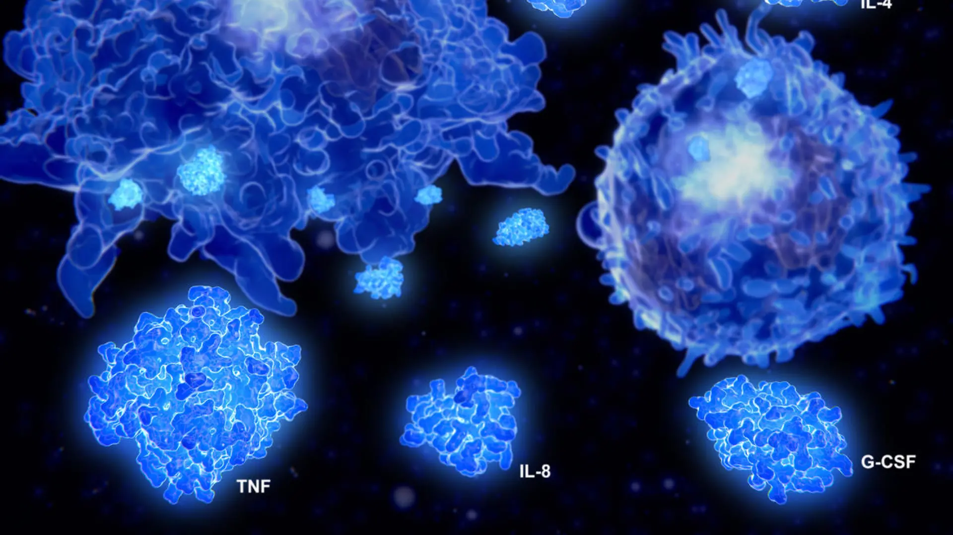 A cytokine storm is a physiological reaction in which the innate immune system causes an uncontrolled and excessive release of pro-inflammatory signaling molecules called cytokines.