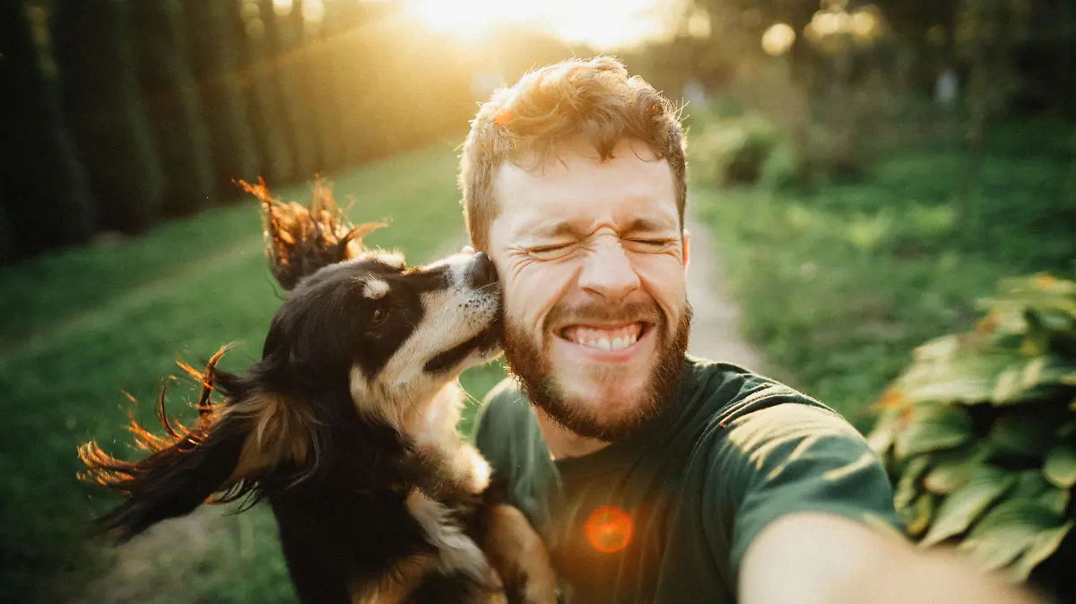 Selfie of a young handsome man with his dog on the green yard in the countryside at the sunset on summer