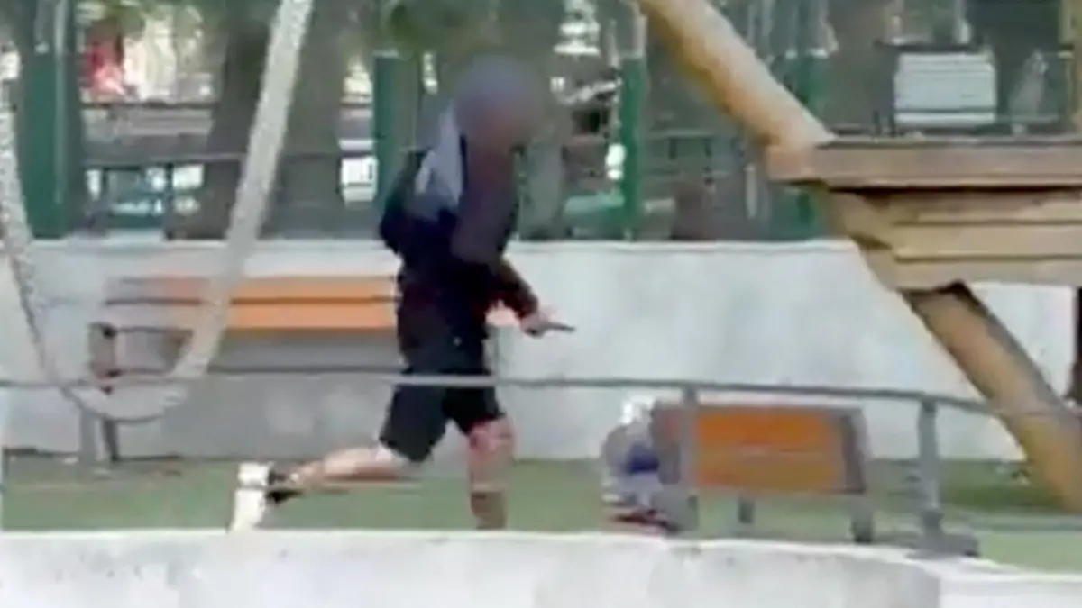 Der 32-Jährige soll mehrere Kinder in einem Park in Annecy verletzt haben.
