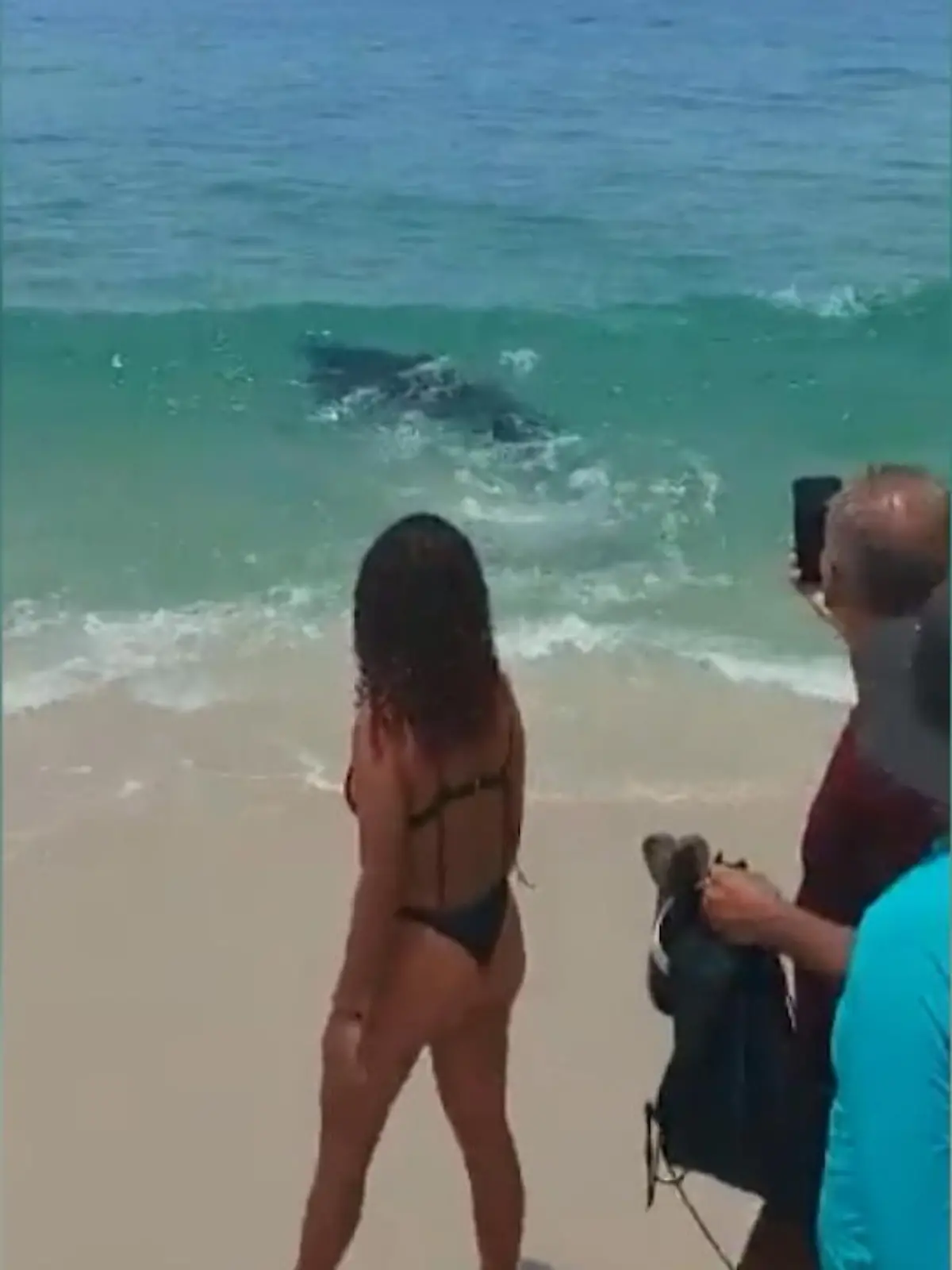 Und plötzlich stürmten die Badegeäste aus dem Wasser: An einem Strand in der Nähe von Rio de Janeiro wurde ein Hai gesichtet. Laut lokalen Medien waren Rettungsschwimmer im Einsatz, die die Menschen aus dem Wasser holten. Niemand wurde angegriffen – im Gegenteil: Die Besucher näherten sich dem Hai bis auf wenige Meter.