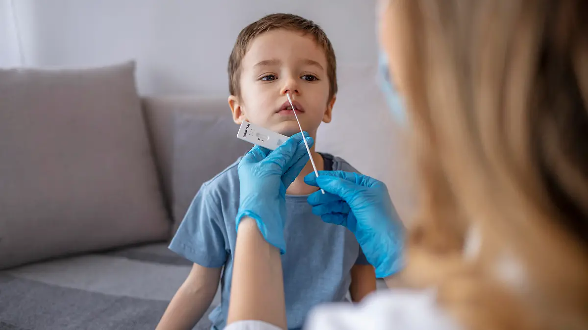 Boy sitting on sofa while going through PCR testing at home due to COVID-19 pandemic. Female doctor using cotton swab while PCR testing small boy at rapid COVID-19 test at home.
