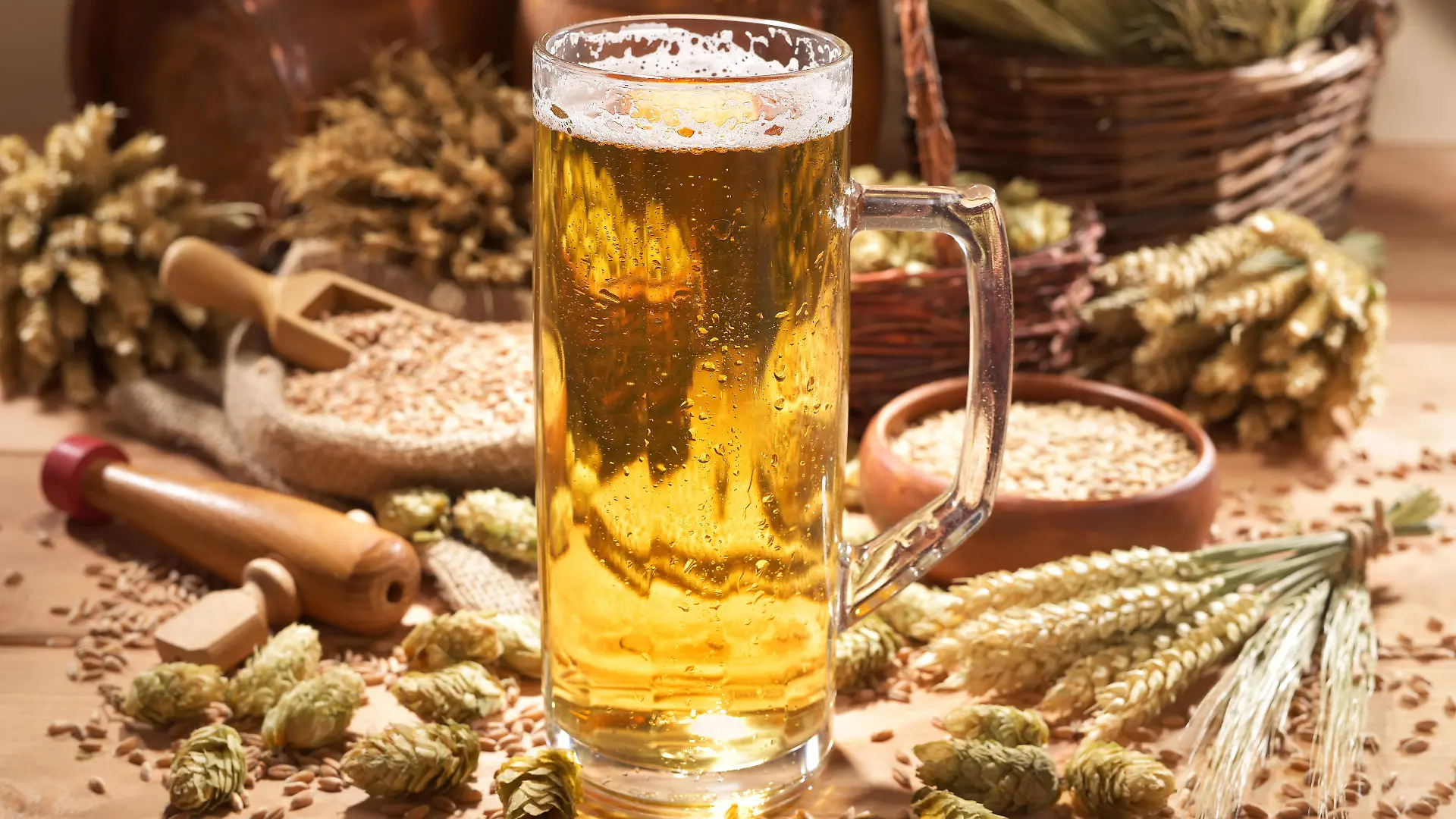  bier,pils,lagerbier,alkohol,biere,helles *** beer,lager,beers r4f-gn4