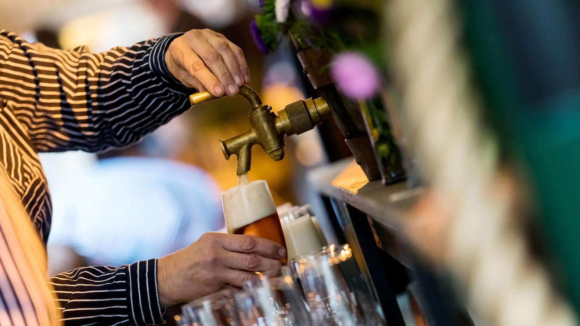 08.09.2017, Berlin, Deutschland, GER - Ein Bier wird frisch vom Hahn gezapft. Bier, gezapft, zapfen, Getränk, Trinken, Alkohol, alkoholisch, Hahn, Zapfhahn, Nahrungsmittel, Genussmittel, Kellner, Kellerin, Gastronimie, Bierindustrie, Gastro, Hand, Hände, Bierglas, Glas, Getränke, Bier zapfen. . *** 08 09 2017 Berlin Germany ger a Beer will Fresh of Cock gezapft Beer gezapft cones Drink drink Alcohol alcoholic Cock Tap Food food and luxury Waiter Gastronimie Beer industry Gastro Hand Hands Beer glass Glass Beverages Beer cones