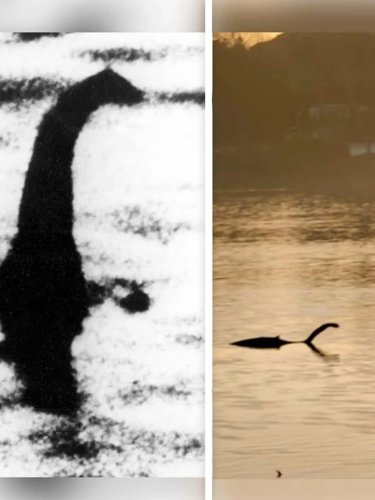 Angebliche Foto-Beweise: Nessie in Loch Ness 1934 (links) und Nessie im Wimbledon Park Lake (rechts)