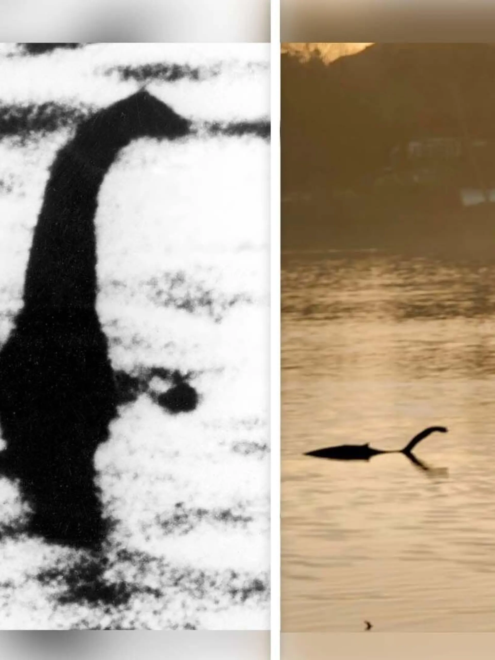 Angebliche Foto-Beweise: Nessie in Loch Ness 1934 (links) und Nessie im Wimbledon Park Lake (rechts)