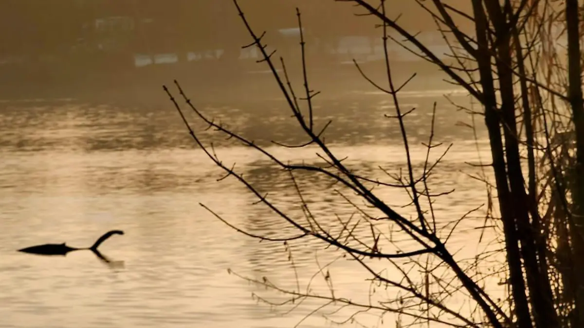 LONDON, ENGLAND, UK It’s a dead ringer for the most famous Loch Ness Monster photo of all time, but this image of something strange in a lake was taken in London (Credit: Arek Chytros via Pen News) (Pen News £25, £15, £10 online) (Contact editor@pennews.co.uk/07595759112)