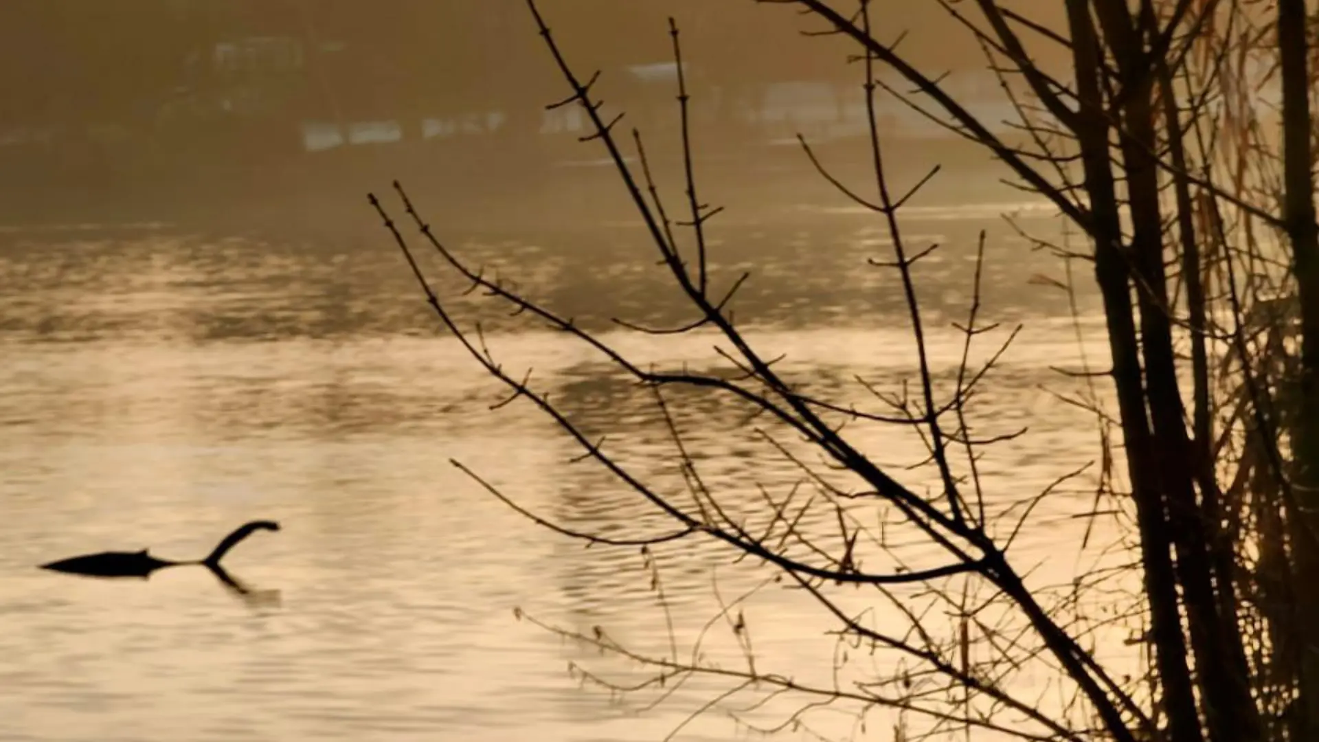 LONDON, ENGLAND, UK It’s a dead ringer for the most famous Loch Ness Monster photo of all time, but this image of something strange in a lake was taken in London (Credit: Arek Chytros via Pen News) (Pen News £25, £15, £10 online) (Contact editor@pennews.co.uk/07595759112)