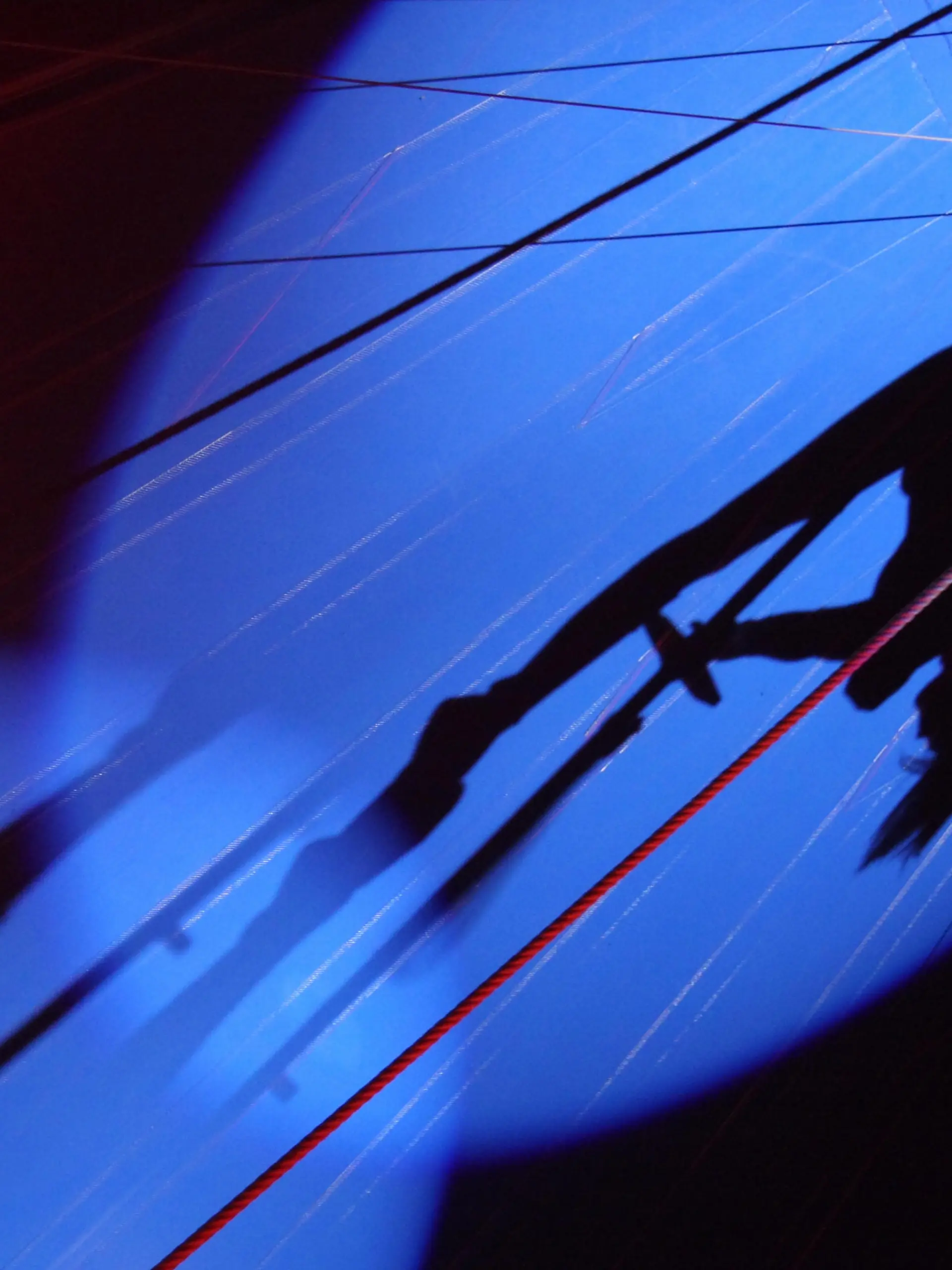 silhouettes in circus