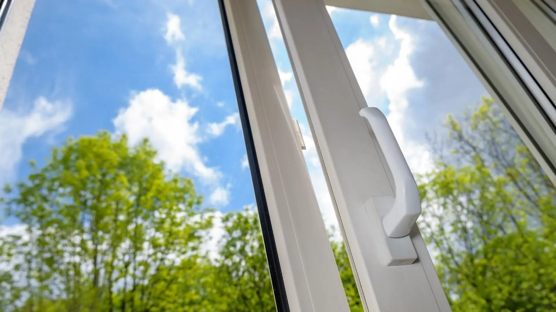 Fenster
