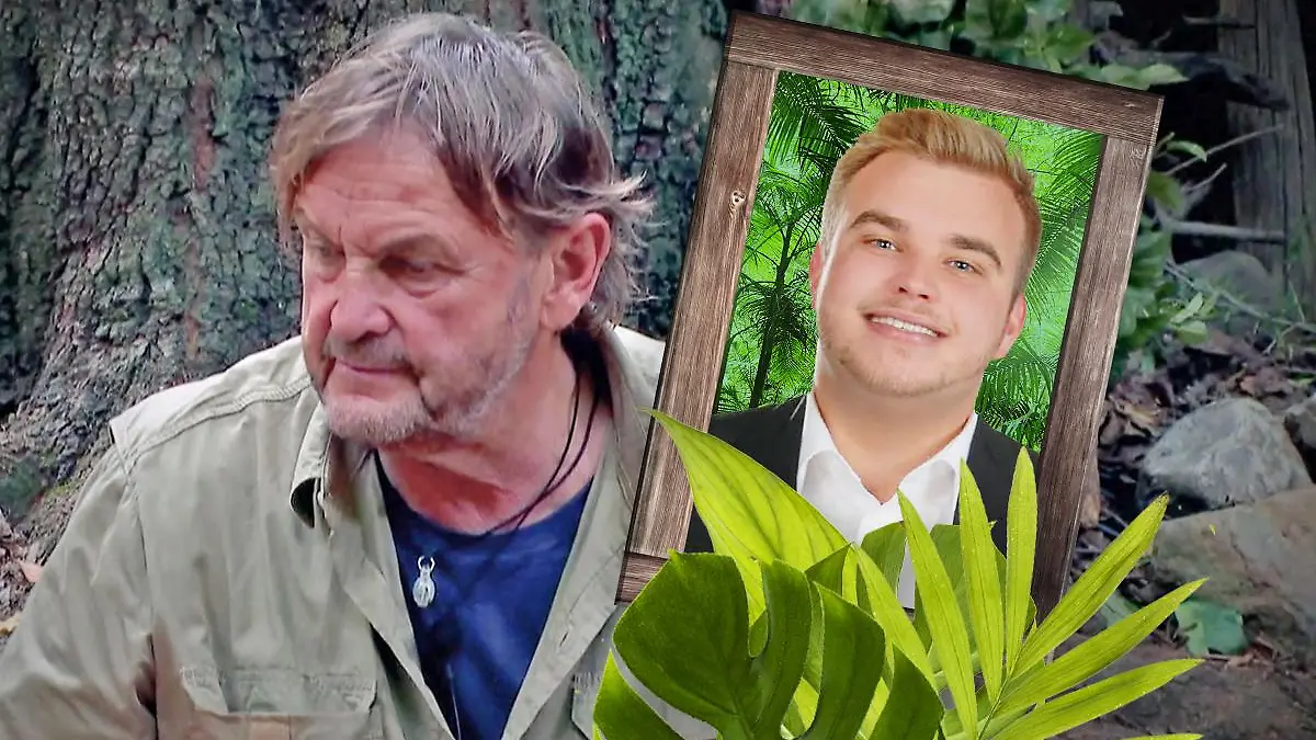 Dschungelcamp 2022: Peter Althofs Sohn Dennis im Interview mit RTL