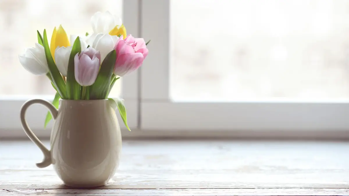 bouquet of tulips in a vase on a window sill at the window